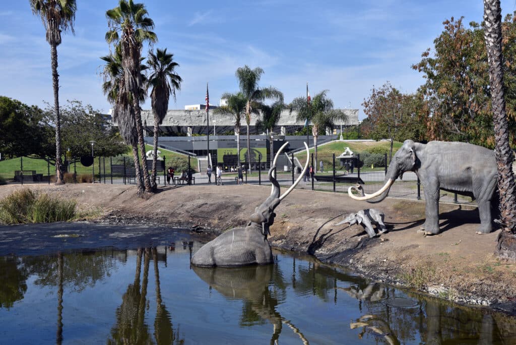 A life-size mammoth statue appears to be stuck in tar near a pond, with another mammoth and a baby mammoth on dry land. Palm trees, people, and a building are visible in the background under a blue sky.