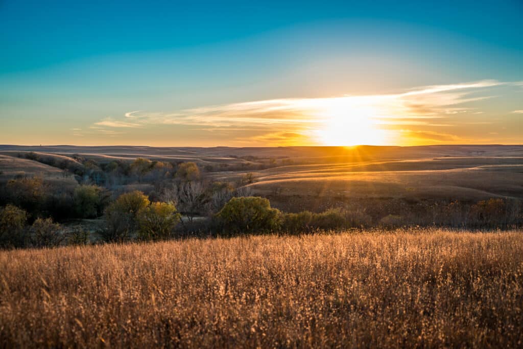 Golden sunlight shines over rolling grassy hills and scattered trees under a clear blue sky at sunrise or sunset, creating a peaceful and warm prairie landscape.
