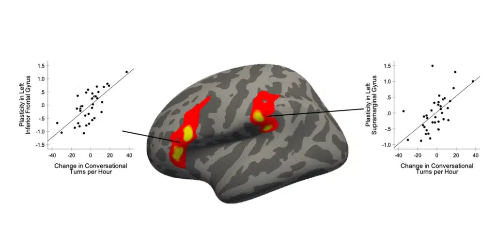 A 3D brain model with highlighted red and yellow areas, indicating brain activity. Scatter plots on both sides show a positive correlation between conversational turns per hour and brain plasticity in specific regions.