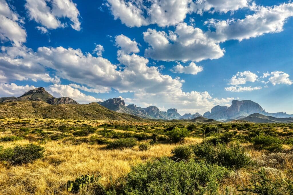A vast desert landscape with dry grass, scattered green shrubs, and cacti in the foreground. Rugged mountains and mesas rise in the distance under a bright blue sky with scattered fluffy clouds.